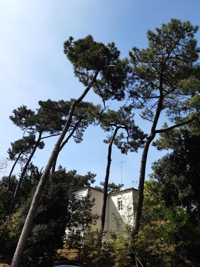 Agreable Studio Ronce Les Bains 拉特里姆莱德 外观 照片